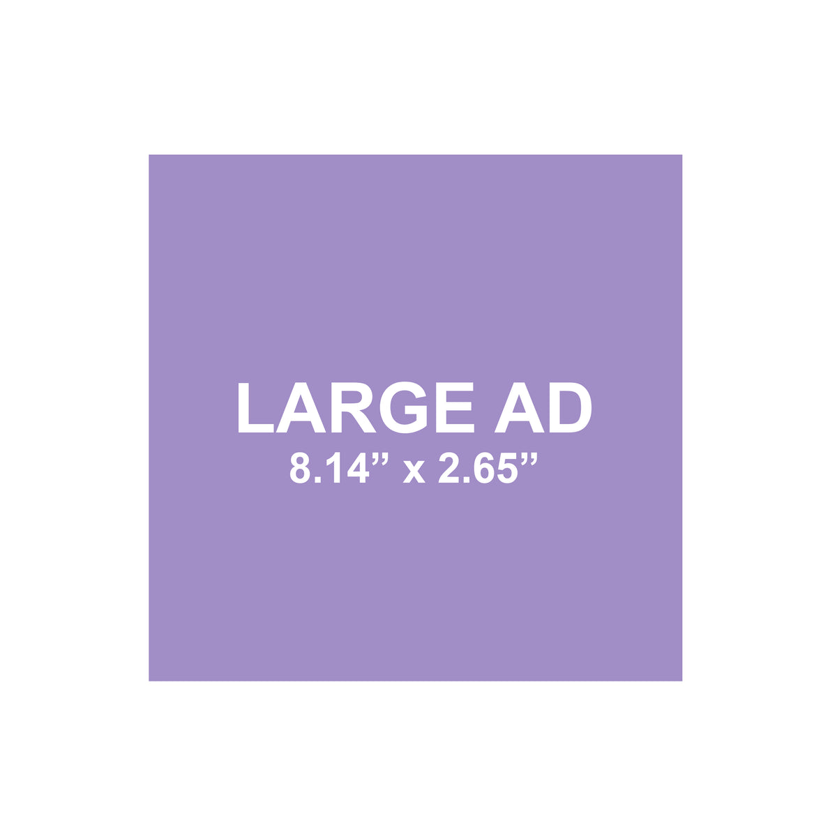 Large Ad Space | The Small Business Publicist